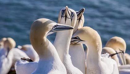 俱乐部组织“足球小将”走进“南岭”，体验职业联赛的仪式感